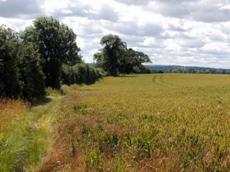 A field near Hampton Lucy