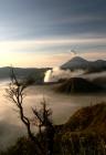 Trees, Clouds, Mountains