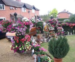 Mr O'Malley's Front Garden