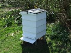 Cottage Garden Hive